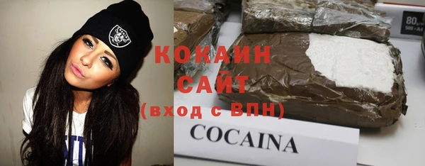 ГАЛЛЮЦИНОГЕННЫЕ ГРИБЫ Вязники