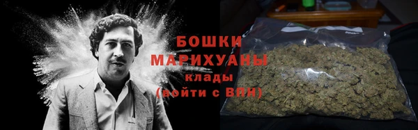 ГАЛЛЮЦИНОГЕННЫЕ ГРИБЫ Вязники