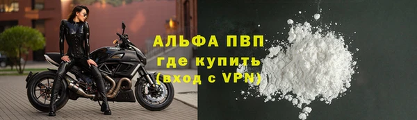 ГАЛЛЮЦИНОГЕННЫЕ ГРИБЫ Вязники