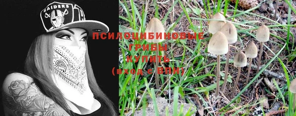ГАЛЛЮЦИНОГЕННЫЕ ГРИБЫ Вязники