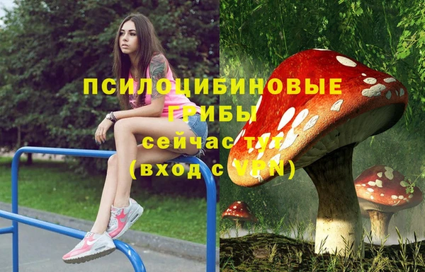 кокс Вяземский