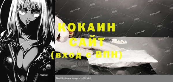 кокс Вяземский