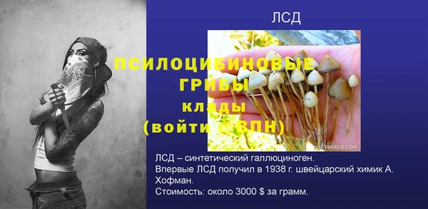 кокс Вяземский
