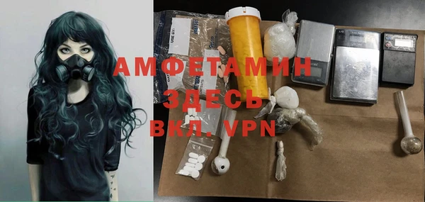 ГАЛЛЮЦИНОГЕННЫЕ ГРИБЫ Вязники