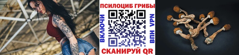 Купить Полярный Галлюциногенные грибы мухоморы